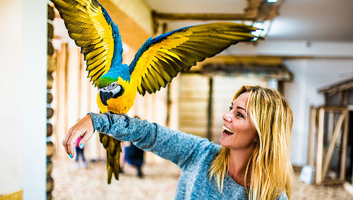 Papugarnia Egzotyczne Zakopane - atrakcja dla dzieci